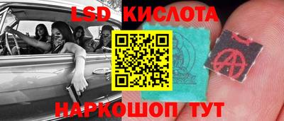 гашик Волжский