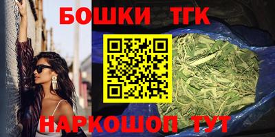 гашик Волжский